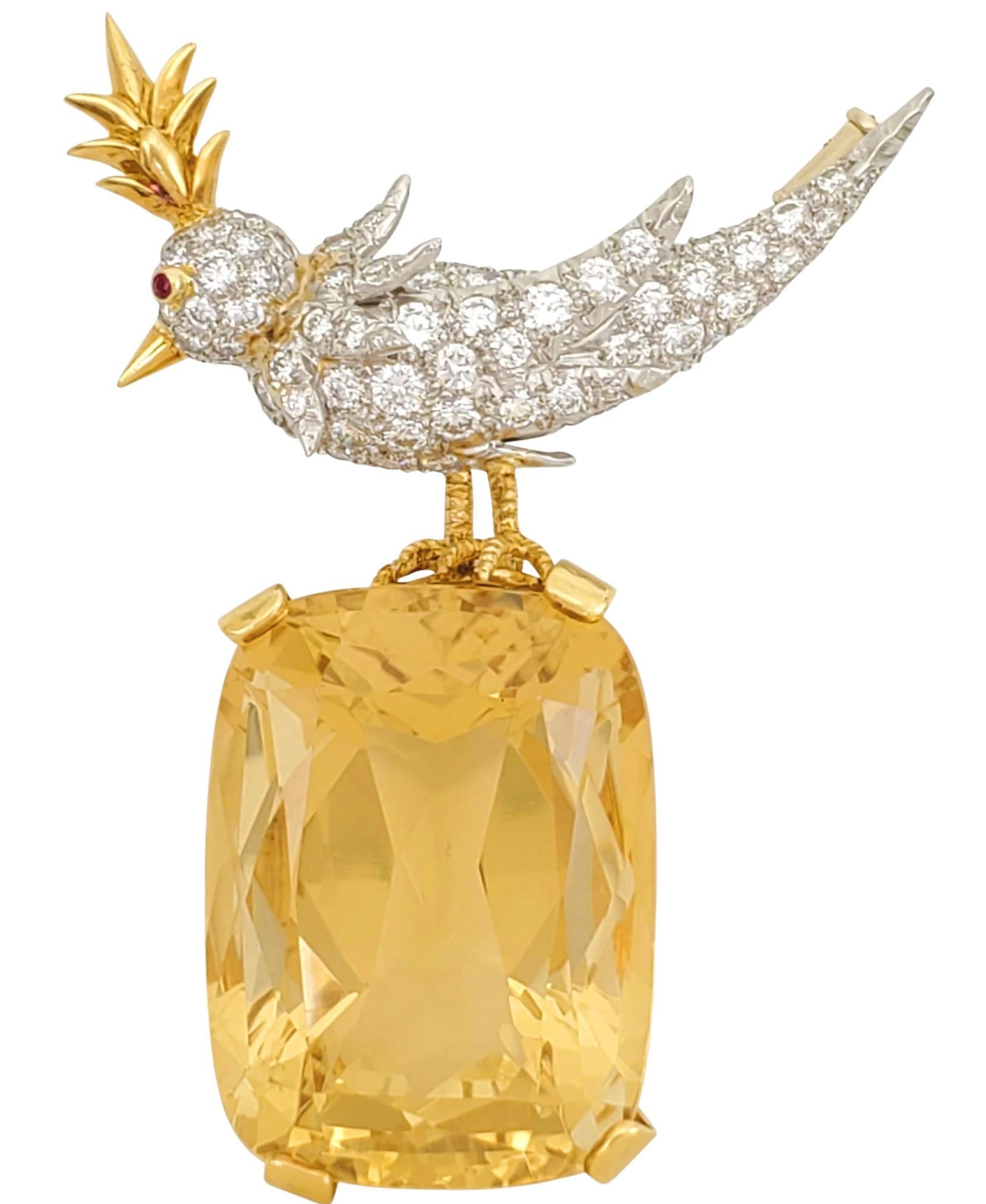 Bird on a Rock” Brooches Take Flight – From Super Bowl to Red Carpets