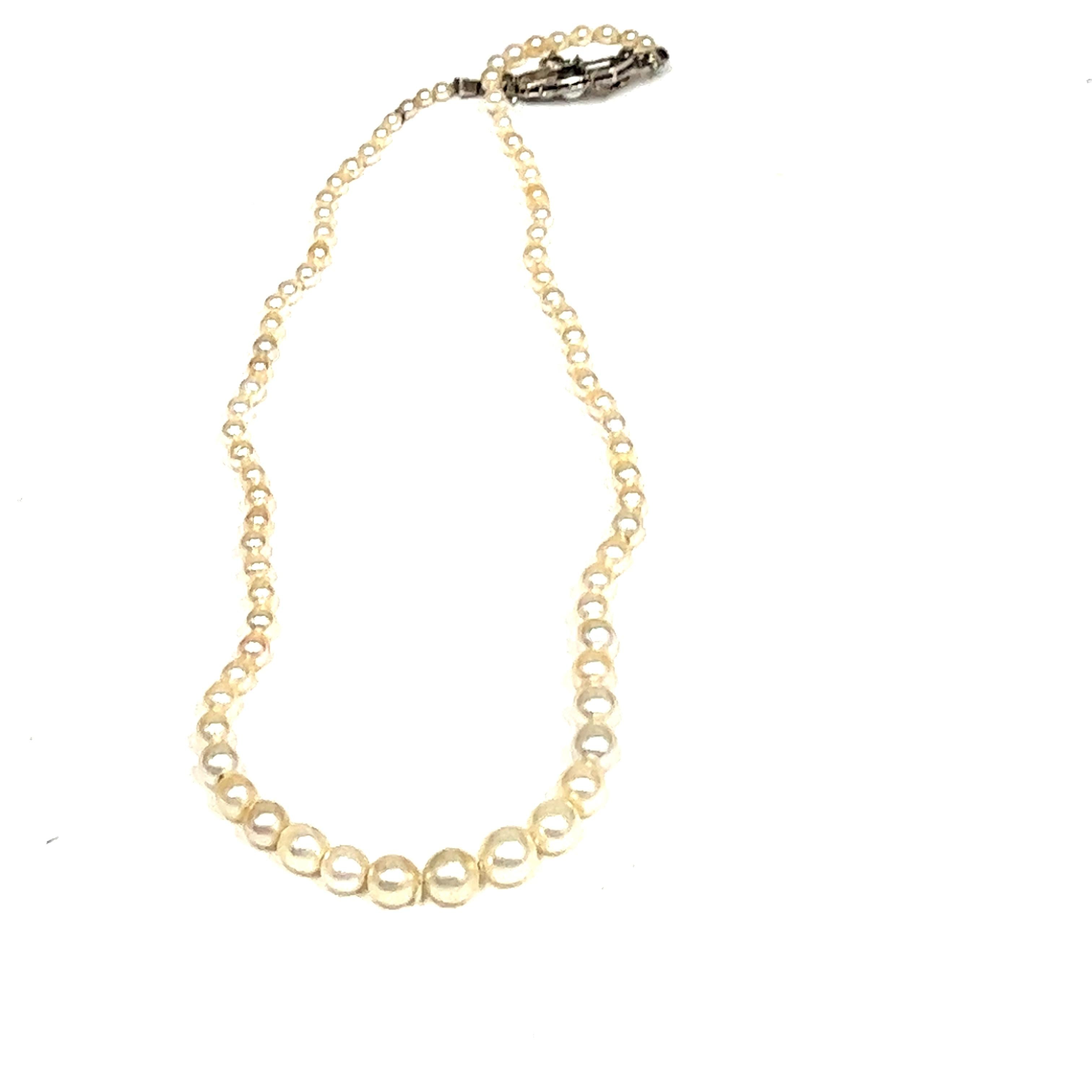 Natural Pearls   Necklace  -